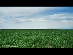 actionneur linéaire électrique intelligent